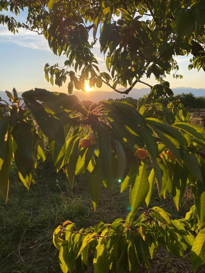 Nena Dashuri Agroturizem Peshkopi Ngoại thất bức ảnh