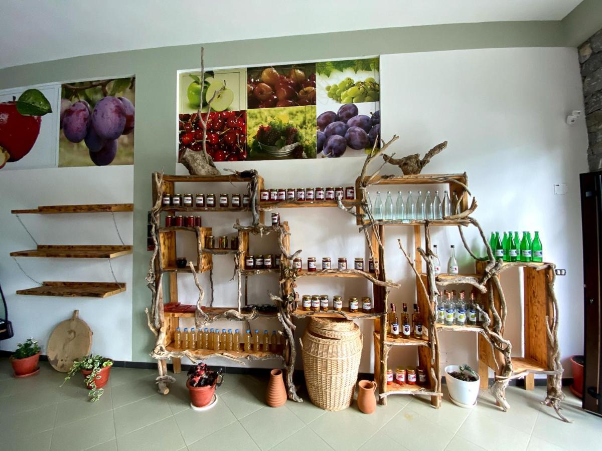 Nena Dashuri Agroturizem Peshkopi Ngoại thất bức ảnh